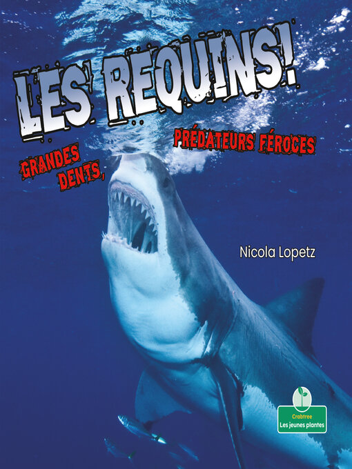 Title details for Les requins! Grandes dents, prédateurs féroces (Sharks! Big Teeth, Fierce Hunters) by Nicola Lopetz - Available